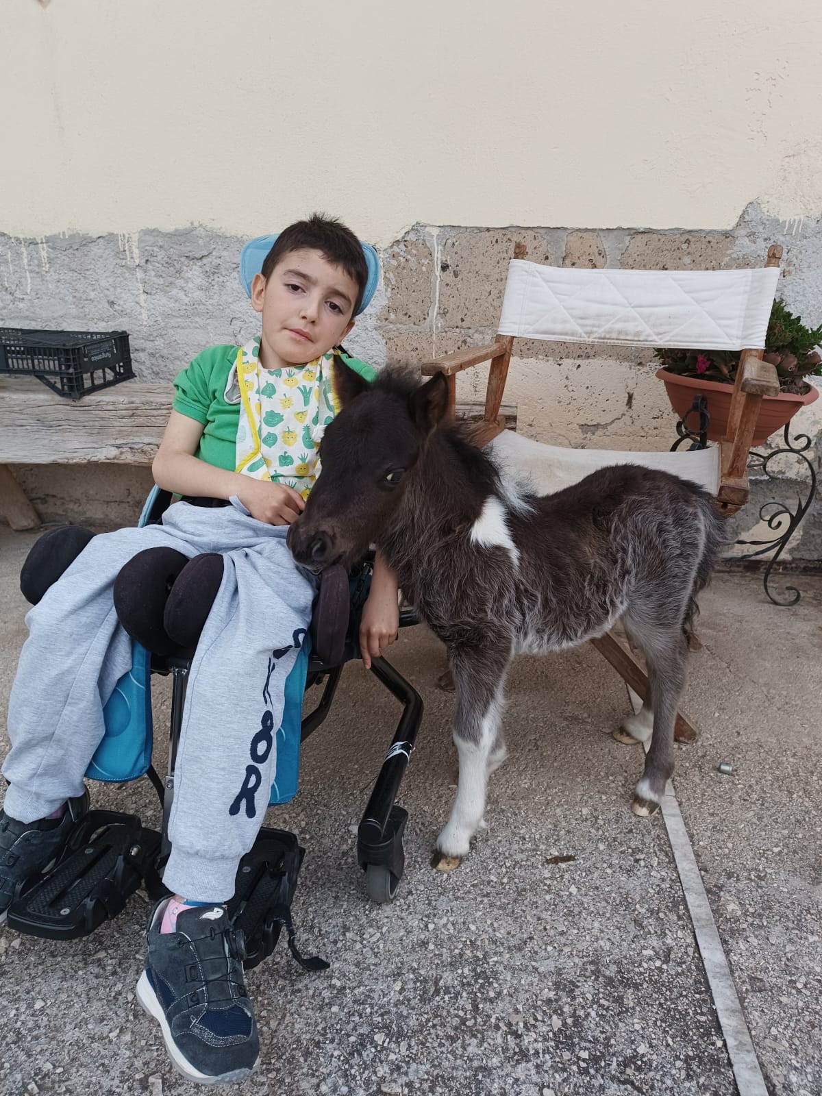 Pet therapy: bambino con disabilità accarezza un animale